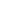 Formation SEO WordPress logo